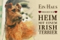 Preview: Metallschild Irish Terrier